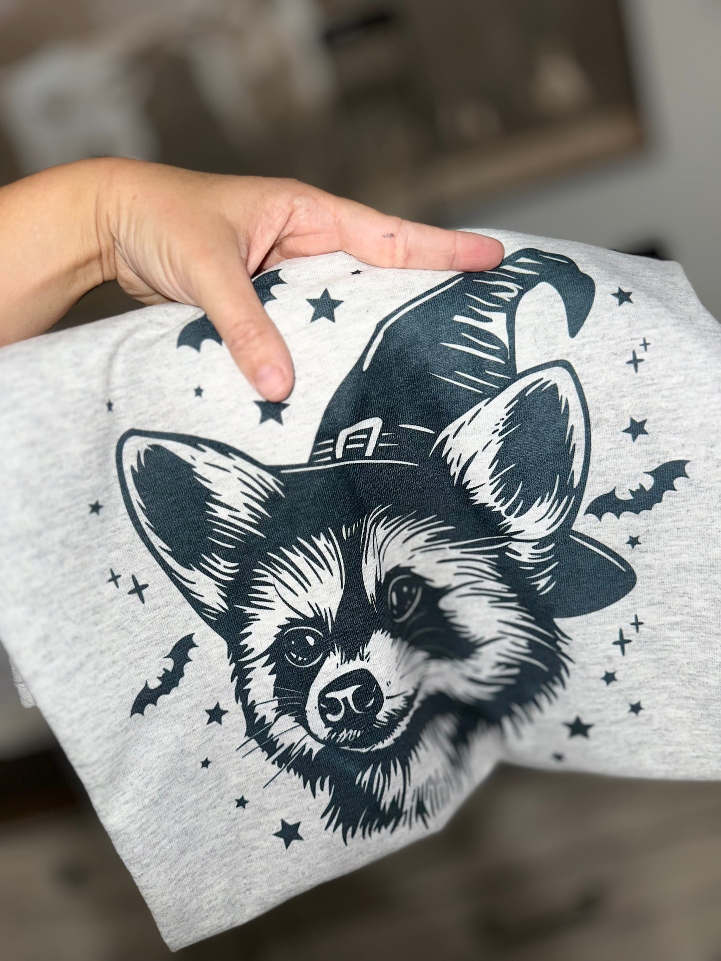 Halloween raccoon