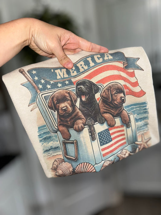 America