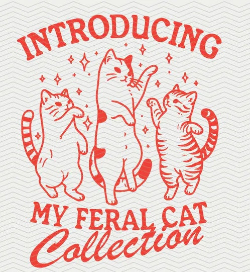Feral cat