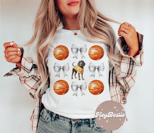 Basketball tn