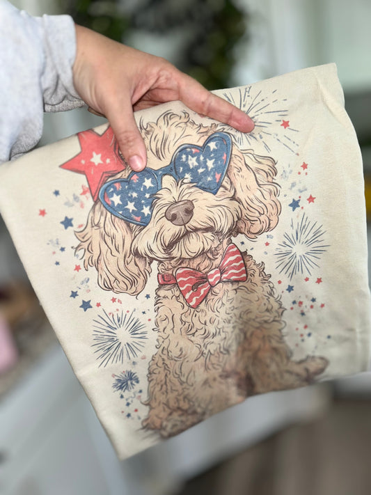 USA doodle