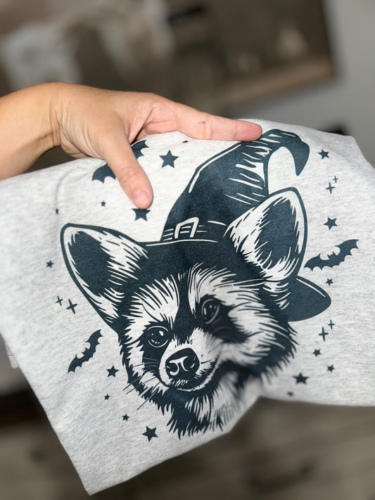 Halloween raccoon