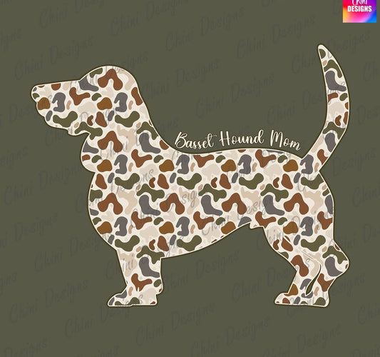 Bassett hound