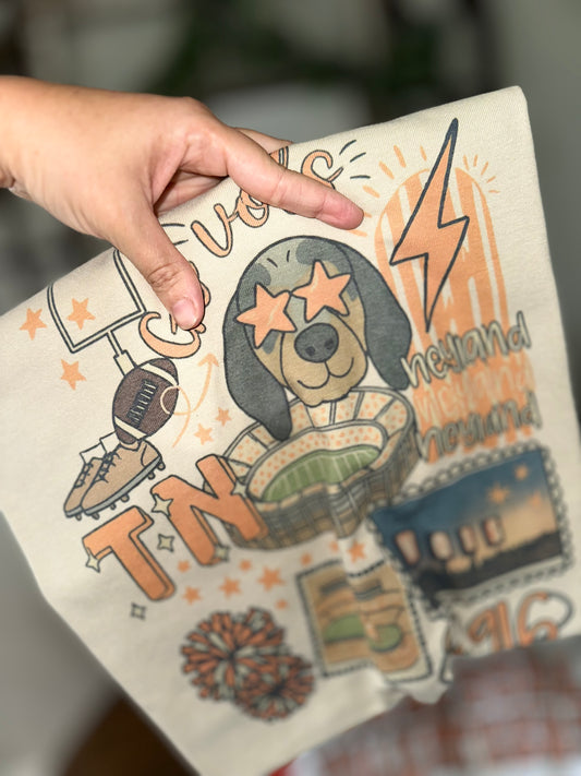Tn vol